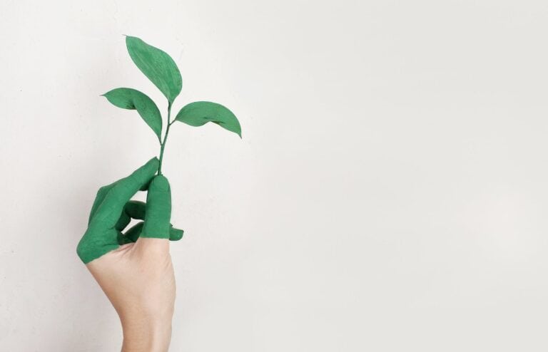 plant and green fingers