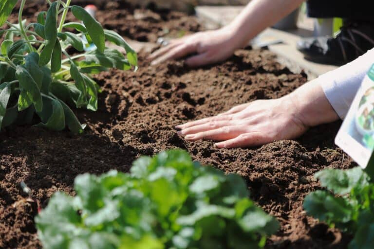 Touching soil