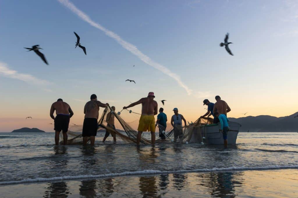 people fishing with a giant net on the shore